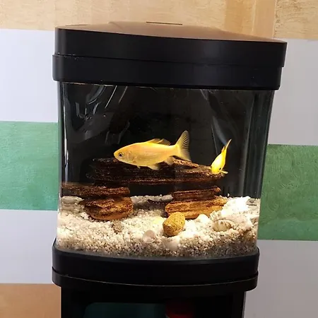 Bed and breakfast Giulia Desenzano del Garda