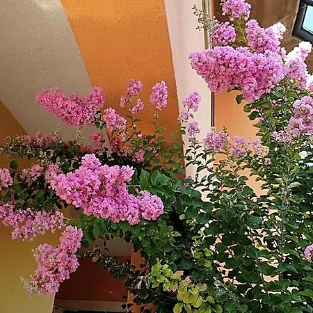 Giulia 4* Desenzano del Garda