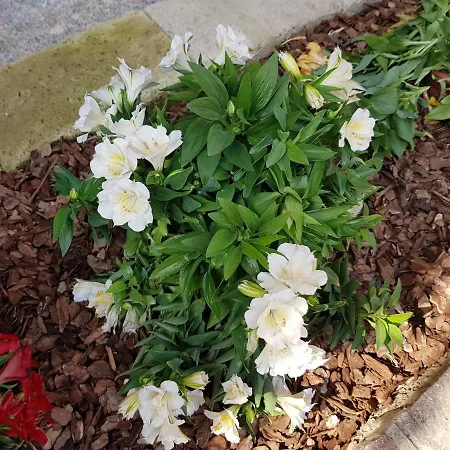 Giulia Bed and breakfast 4*